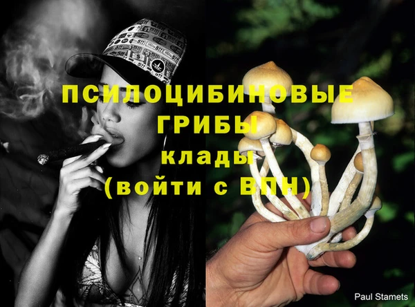 ГАЛЛЮЦИНОГЕННЫЕ ГРИБЫ Нефтегорск