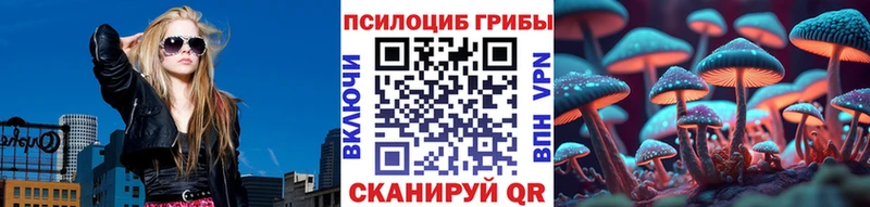 Псилоцибиновые грибы Psilocybe  наркошоп  Арзамас 