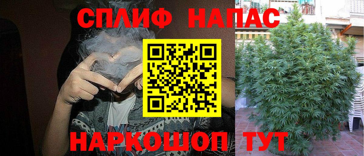 Арзамас  Каннабис White Widow  Конопля конопля  Бошки марихуана White Widow  Вход с VPN  МАРИХУАНА THC 21% 
